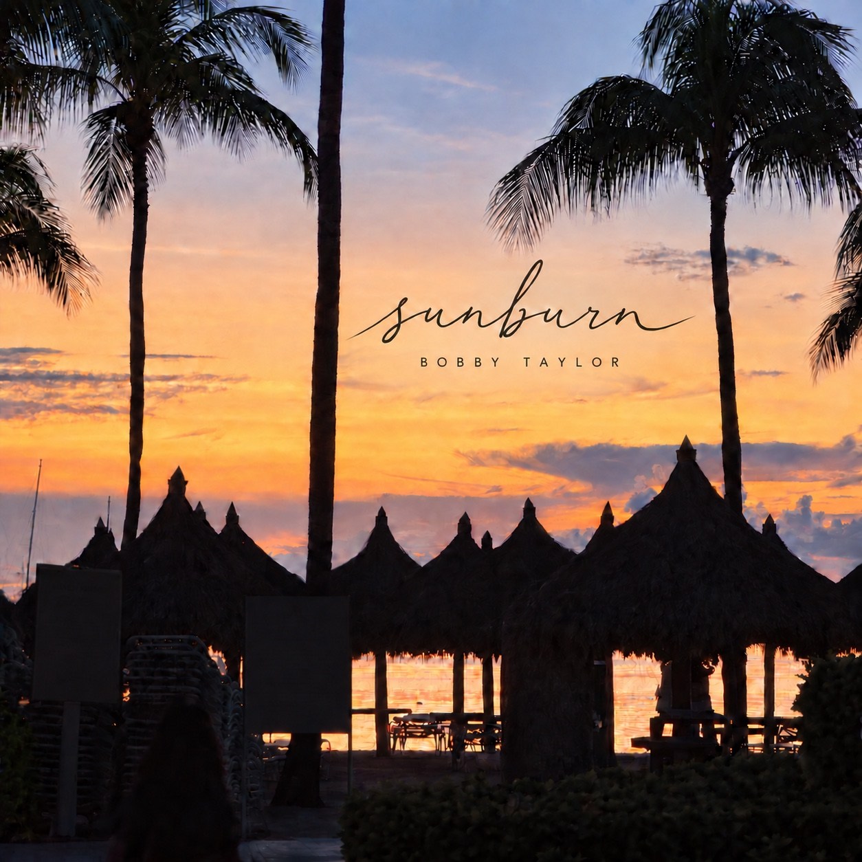 Sunburn cover artwork